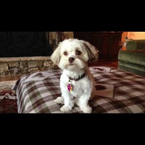 Meet your Posher, Julie